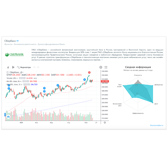 Инвест-анализ: карточка компании на hit.finance